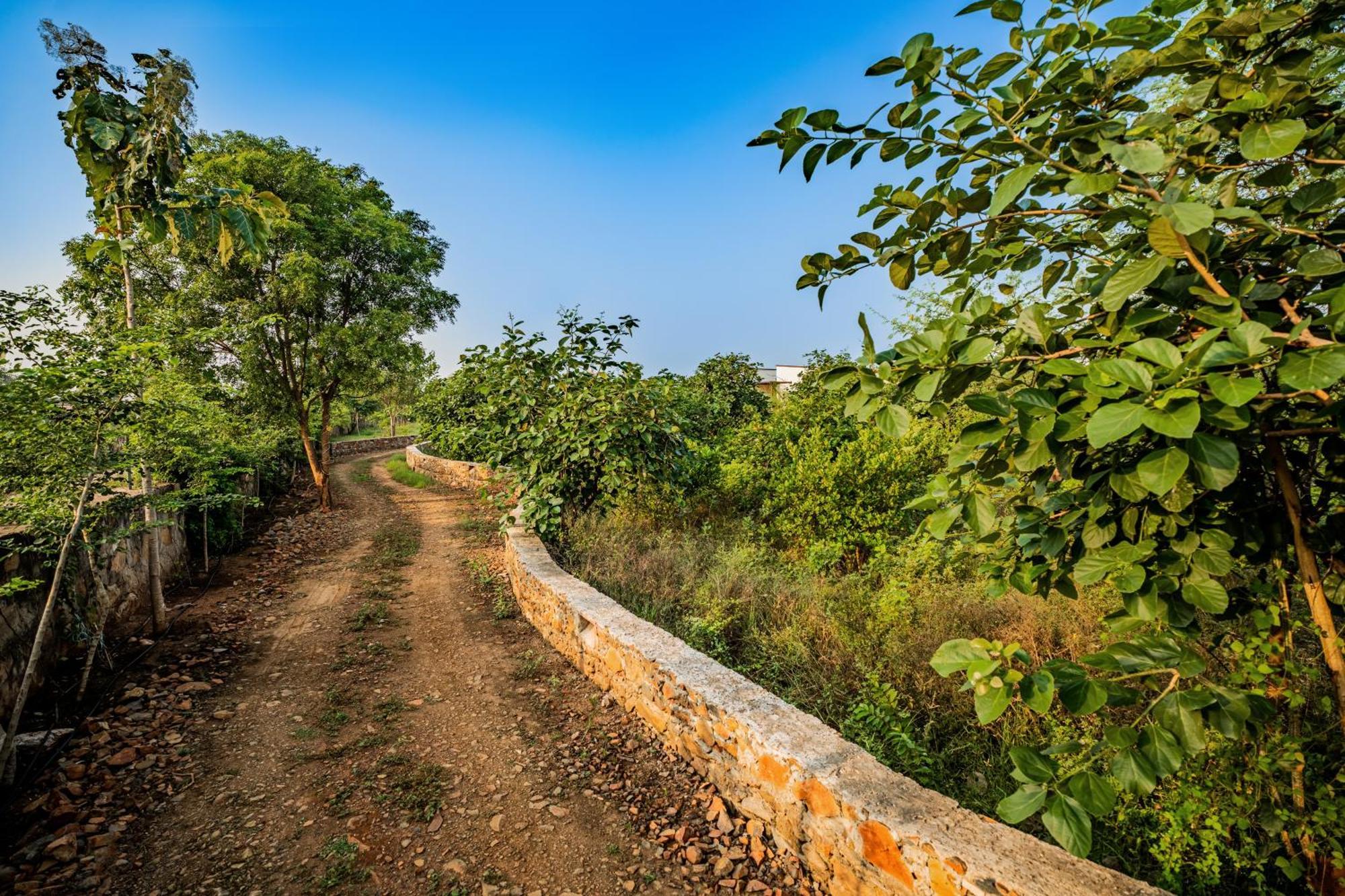 Guldaar Sariska - A Luxury Forest Resort Tehla Exterior foto