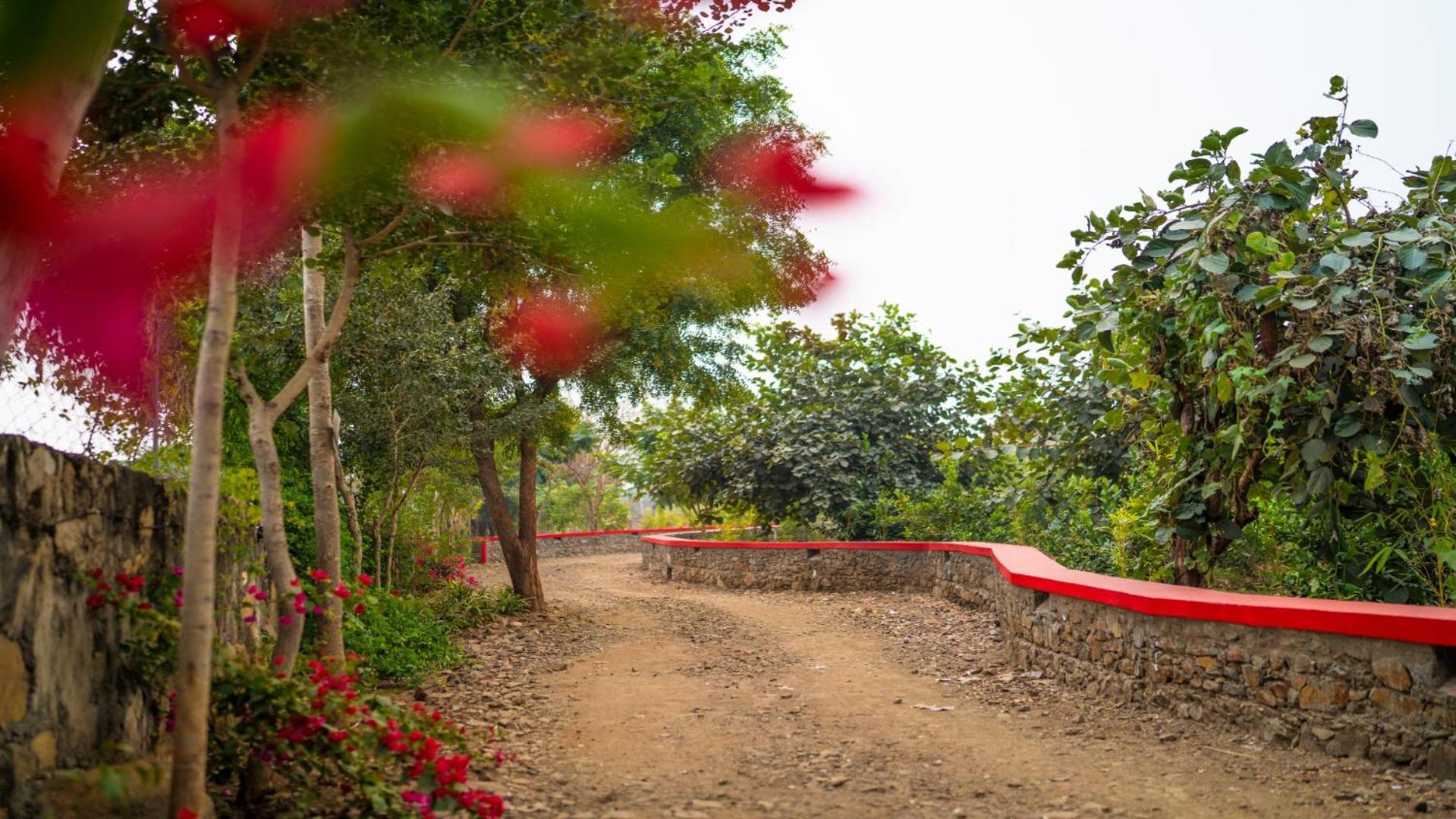 Guldaar Sariska - A Luxury Forest Resort Tehla Exterior foto